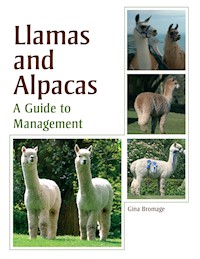 Llamas and Alpacas - Gina Bromage - E-Book