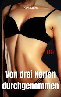 Von drei Kerlen durchgenommen - Kira Moes - E-Book