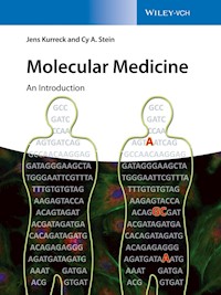 Molecular Medicine - Jens Kurreck - E-Book
