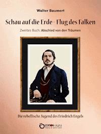 Schau auf die Erde – Der Flug des Falken. Zweites Buch: Abschied von den Träumen - Walter Baumert - E-Book