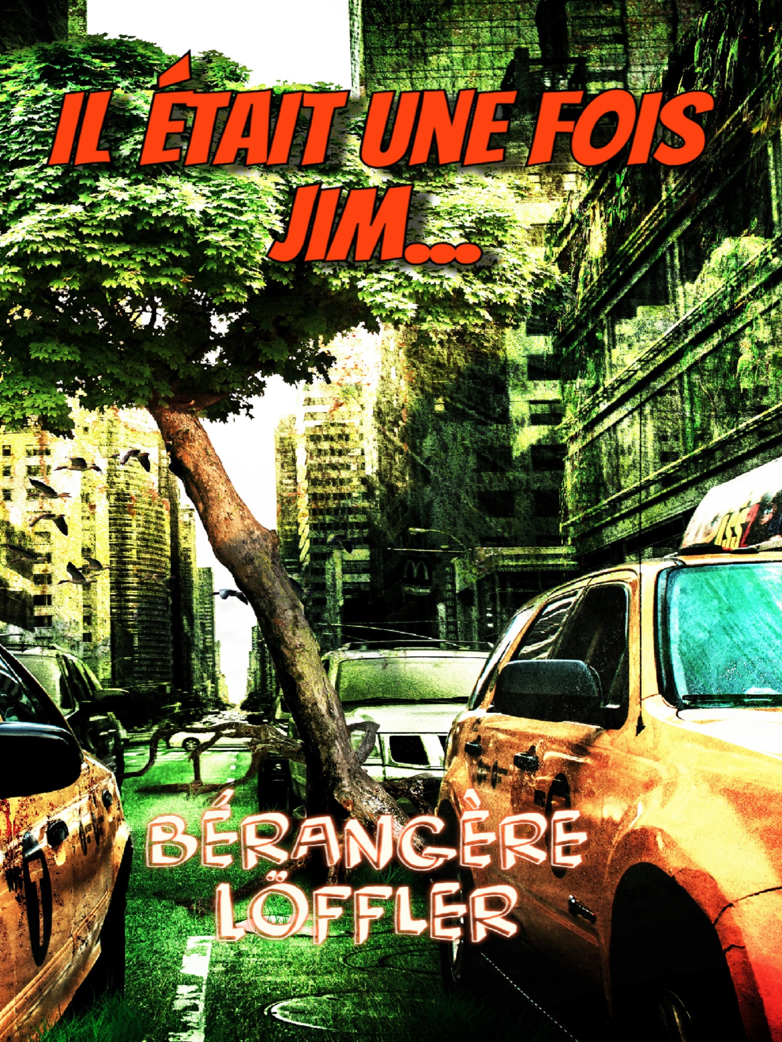 Il était une fois Jim... - Bérangère Löffler - E-Book