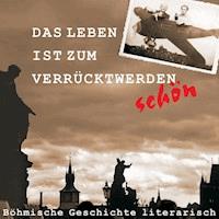 Das Leben ist zum Verrücktwerden schön - Adalbert  Stifter - Hörbuch