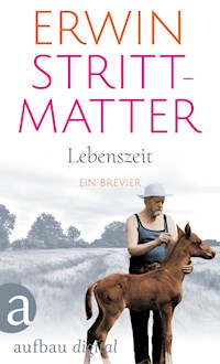 Lebenszeit - Erwin Strittmatter - E-Book