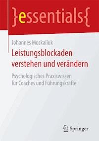 Leistungsblockaden verstehen und verändern - Johannes Moskaliuk - E-Book