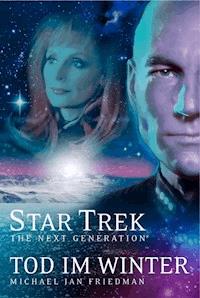 Star Trek - The Next Generation 01: Tod im Winter - Michael Jan Friedman - E-Book