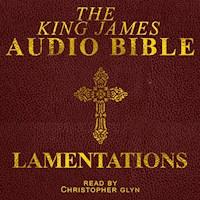 Lamentations - Christopher Glyn - Hörbuch