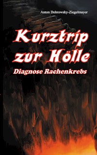 Kurztrip zur Hölle Diagnose Rachenkrebs - Anton Dobrowsky-Ziegelmayer - E-Book