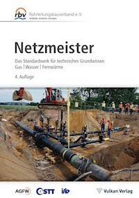 Netzmeister -  - E-Book