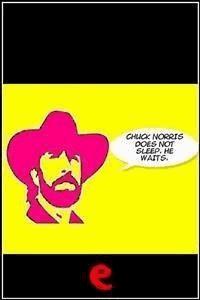 Chuck Norris doesn't sleep. He waits. - aa.vv - E-Book