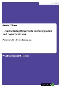 Heilerziehungspflegerische Prozesse planen und dokumentieren - Guido  Zöllner - E-Book