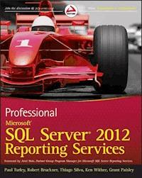 Professional Microsoft SQL Server 2012 Reporting Services - Paul Turley - E-Book