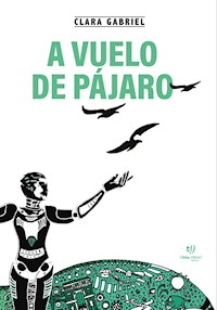 A vuelo de pájaro - Clara Gabriel - E-Book