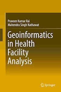 Geoinformatics in Health Facility Analysis - Praveen Kumar Rai - E-Book