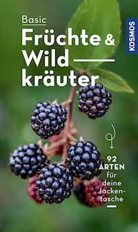 BASIC Früchte und Wildkräuter - Eva-Maria Dreyer - E-Book
