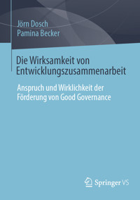 Die Wirksamkeit von Entwicklungszusammenarbeit - Jörn Dosch - E-Book