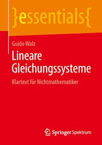 Lineare Gleichungssysteme - Guido Walz - E-Book