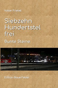 Siebzehn Hundertstel frei - Volker Friebel - E-Book