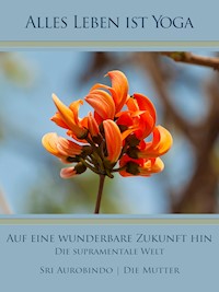 Auf eine wunderbare Zukunft hin - Sri Aurobindo - E-Book