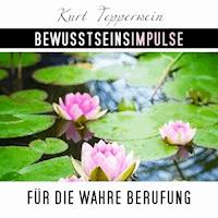 Bewusstseinsimpulse für die wahre Berufung - Kurt Tepperweink - Hörbuch