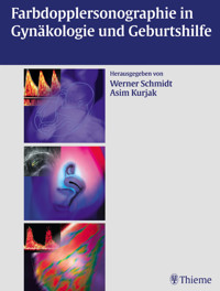 Farbdopplersonographie in Gynäkologie und Geburtshilfe - Werner O. Schmidt - E-Book