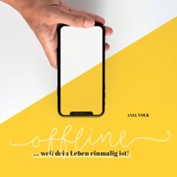 offline - Axel Volk - Hörbuch