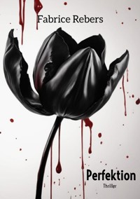 Perfektion - Fabrice Rebers - E-Book