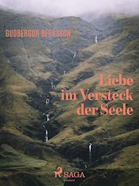 Liebe im Versteck der Seele - Gudbergur Bergsson - E-Book