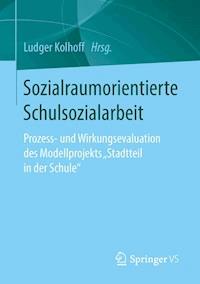 Sozialraumorientierte Schulsozialarbeit -  - E-Book
