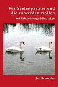 Für Seelenpartner und die es werden wollen - Jan Norman - E-Book