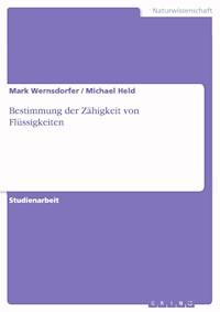 Bestimmung der Zähigkeit von Flüssigkeiten - Mark Wernsdorfer - E-Book