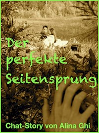 Der perfekte Seitensprung - Alina Ghi - E-Book