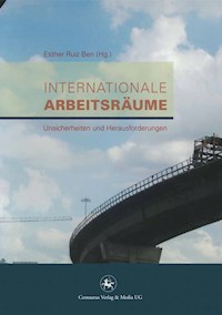 Internationale Arbeitsräume -  - E-Book