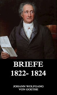 Briefe 1822 - 1824 - Johann Wolfgang von Goethe - E-Book