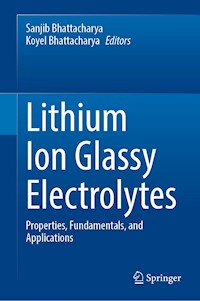 Lithium Ion Glassy Electrolytes - - E-Book