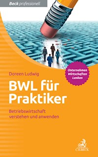 BWL für Praktiker - Doreen Ludwig - E-Book