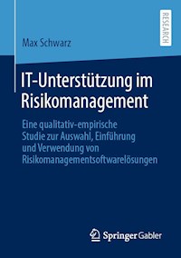 IT-Unterstützung im Risikomanagement - Max Schwarz - E-Book