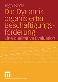Die Dynamik organisierter Beschäftigungsförderung - Ingo Bode - E-Book