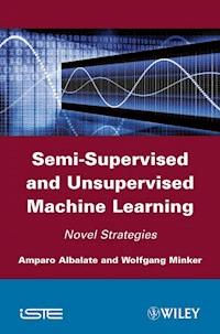 Semi-Supervised and Unsupervised Machine Learning - Amparo Albalate - E-Book
