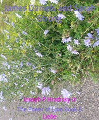 James Daniels and Sarah Strong - Joseph P Hradisky Jr - E-Book