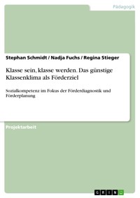 Klasse sein, klasse werden. Das günstige Klassenklima als Förderziel - Stephan Schmidt - E-Book