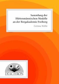 Sammlung der Hüttenmännischen Modelle an der Bergakademie Freiberg - Corinna Wobbe - E-Book