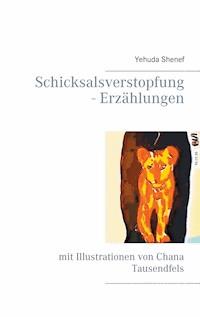 Schicksalsverstopfung - Erzählungen - Yehuda Shenef - E-Book