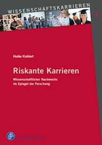 Riskante Karrieren - Heike Kahlert - E-Book