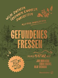 Gefundenes Fressen - Fabio Haebel - E-Book