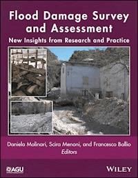 Flood Damage Survey and Assessment -  - E-Book