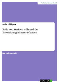 Rolle von Auxinen während der Entwicklung höherer Pflanzen - Julie Lüttgen - E-Book