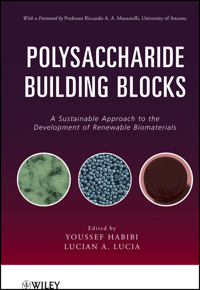 Polysaccharide Building Blocks - Youssef Habibi - E-Book