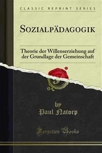 Sozialpädagogik - Paul Natorp - E-Book