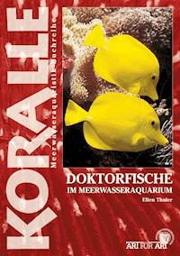 Doktorfische im Meerwasseraquarium - Ellen Thaler - E-Book