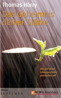 Das Geheimnis deiner Stärke - Thomas Härry - E-Book